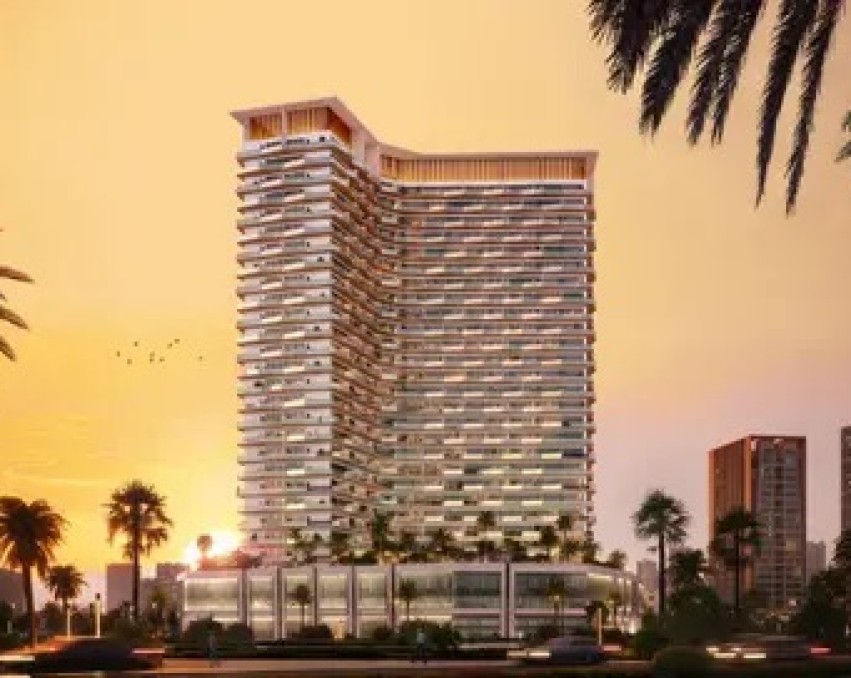 بينغهاتي هافن